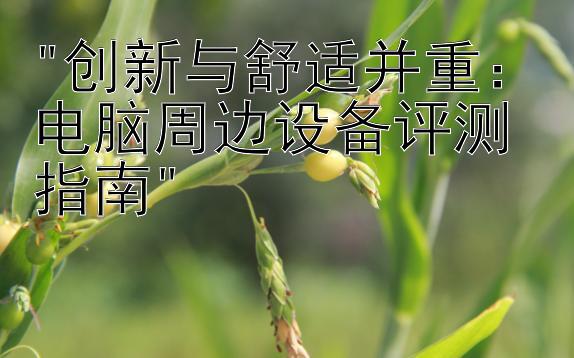 创新与舒适并重：电脑周边设备评测指南