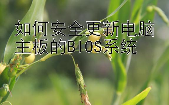 如何安全更新电脑主板的BIOS系统