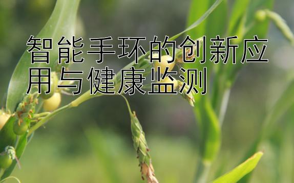 智能手环的创新应用与健康监测