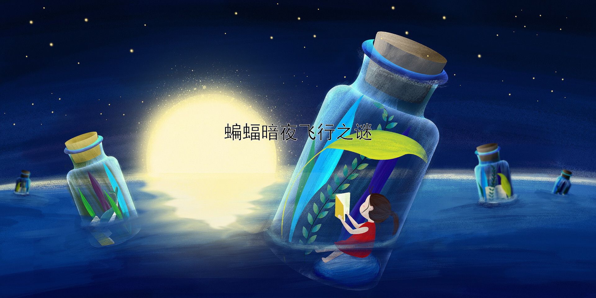 蝙蝠暗夜飞行之谜