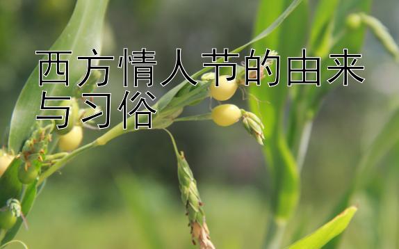 西方情人节的由来与习俗