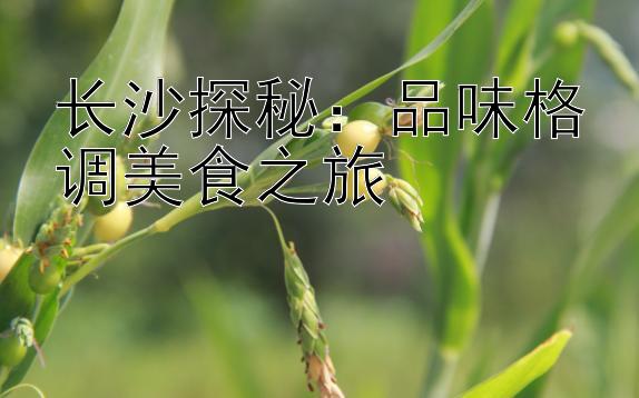 长沙探秘：品味格调美食之旅