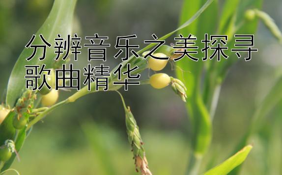 分辨音乐之美探寻歌曲精华