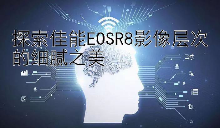 探索佳能EOSR8影像层次的细腻之美