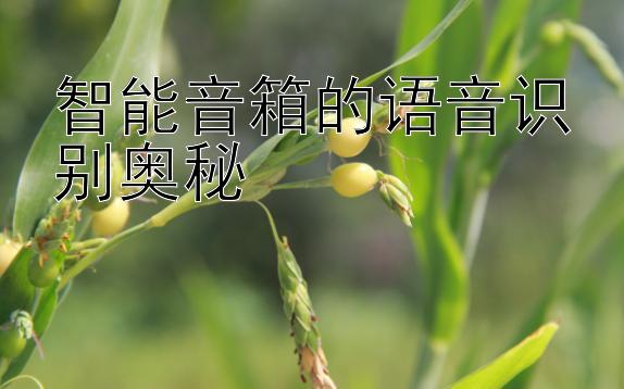 智能音箱的语音识别奥秘