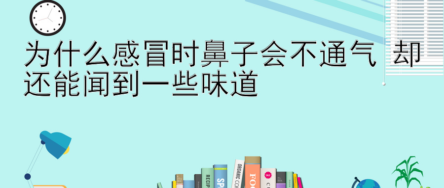 为什么感冒时鼻子会不通气 却还能闻到一些味道