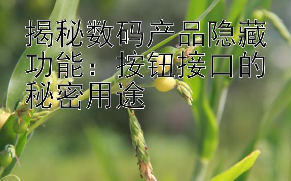 揭秘数码产品隐藏功能：按钮接口的秘密用途