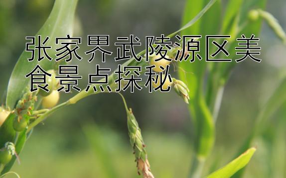 张家界武陵源区美食景点探秘