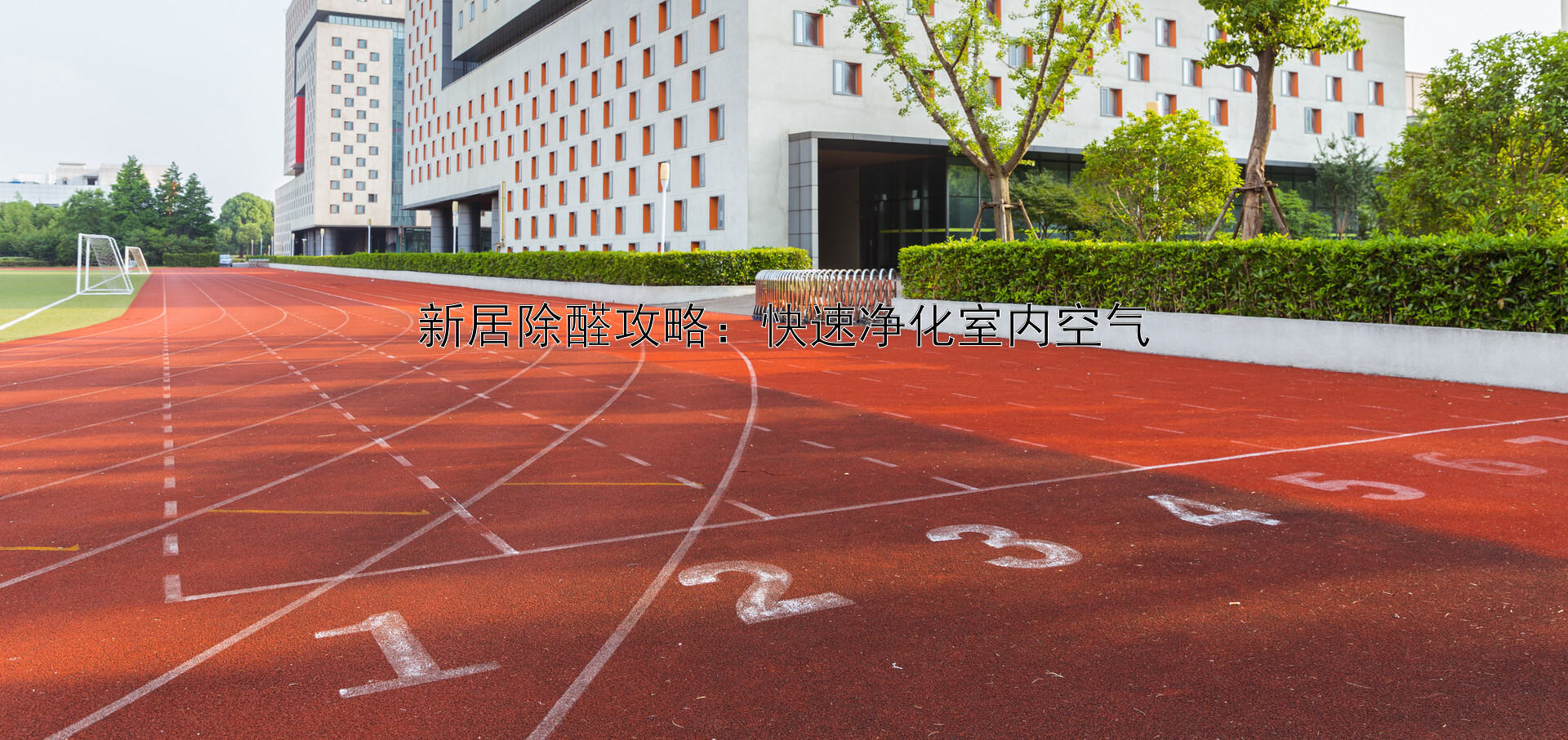 新居除醛攻略：快速净化室内空气