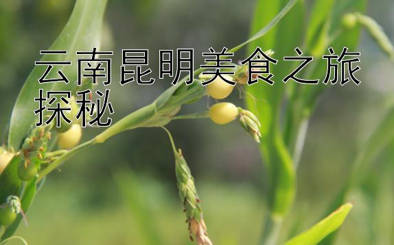 云南昆明美食之旅探秘