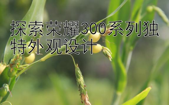 探索荣耀300系列独特外观设计