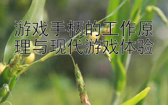 游戏手柄的工作原理与现代游戏体验