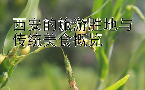 西安的旅游胜地与传统美食概览