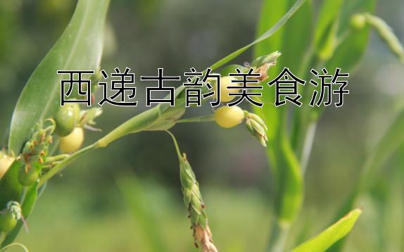 西递古韵美食游