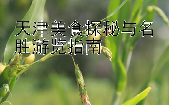 天津美食探秘与名胜游览指南