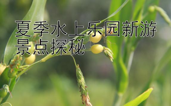 夏季水上乐园新游景点探秘